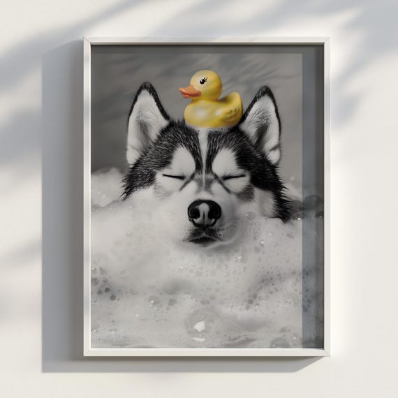 Bubble Majesty Black And White Husky In Bath With Rubber Duck Funny Dog Photography Print Monochrome Wall Art