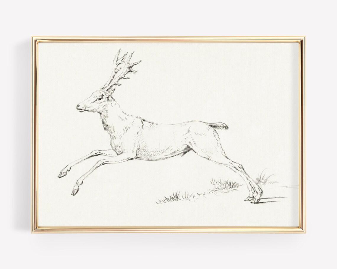 Leaping Stag Reindeer Pencil Sketch Vintage Wildlife Minimalist Art Poster