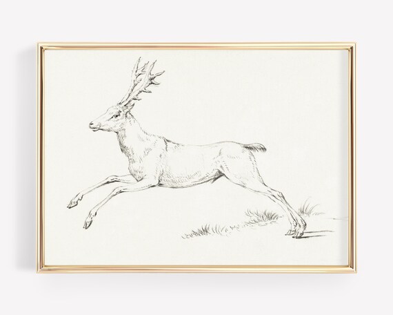 Leaping Stag Reindeer Pencil Sketch Vintage Wildlife Minimalist Art Poster