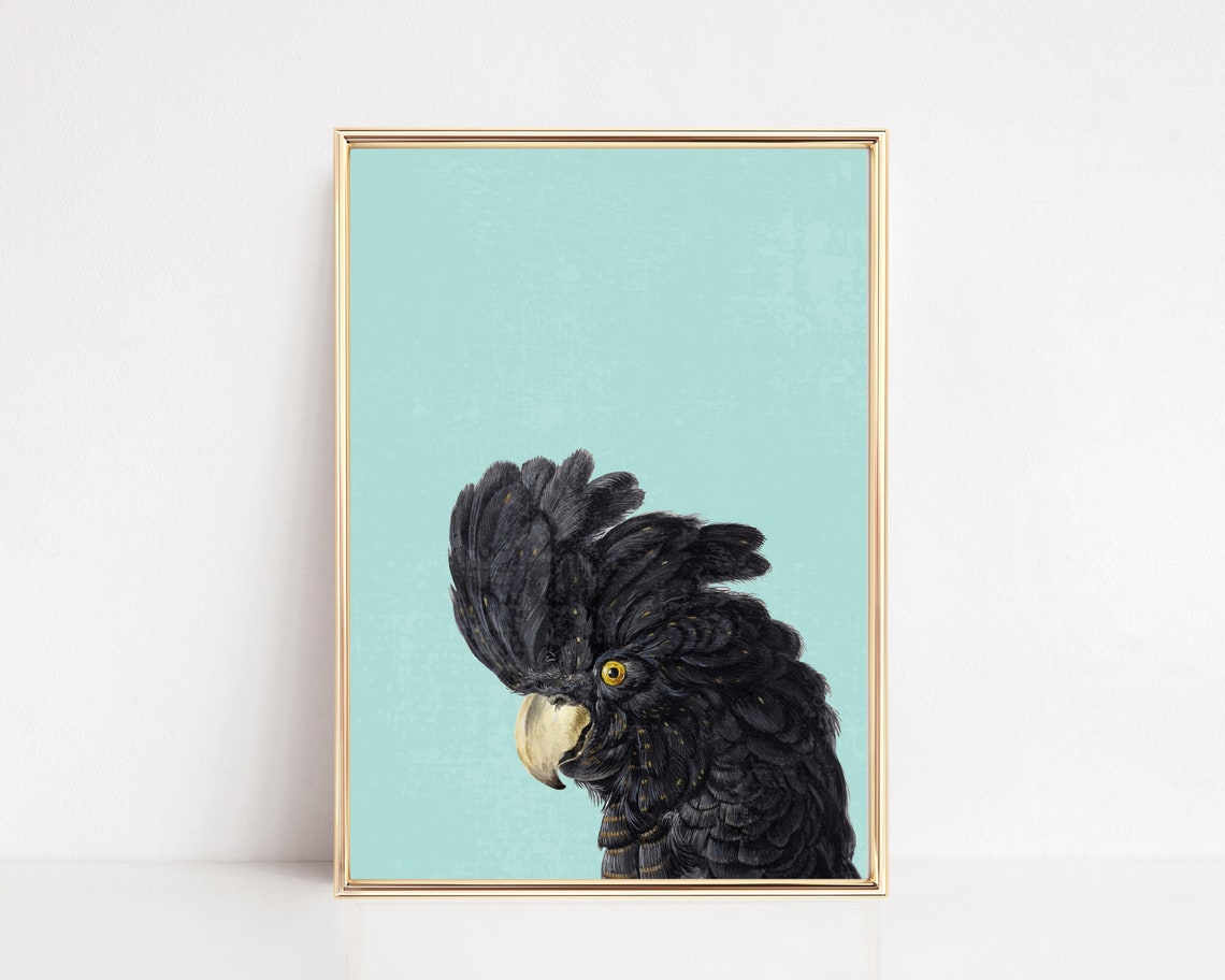Black Cockatoo Bird Illustration Mint Green Backdrop Modern Poster