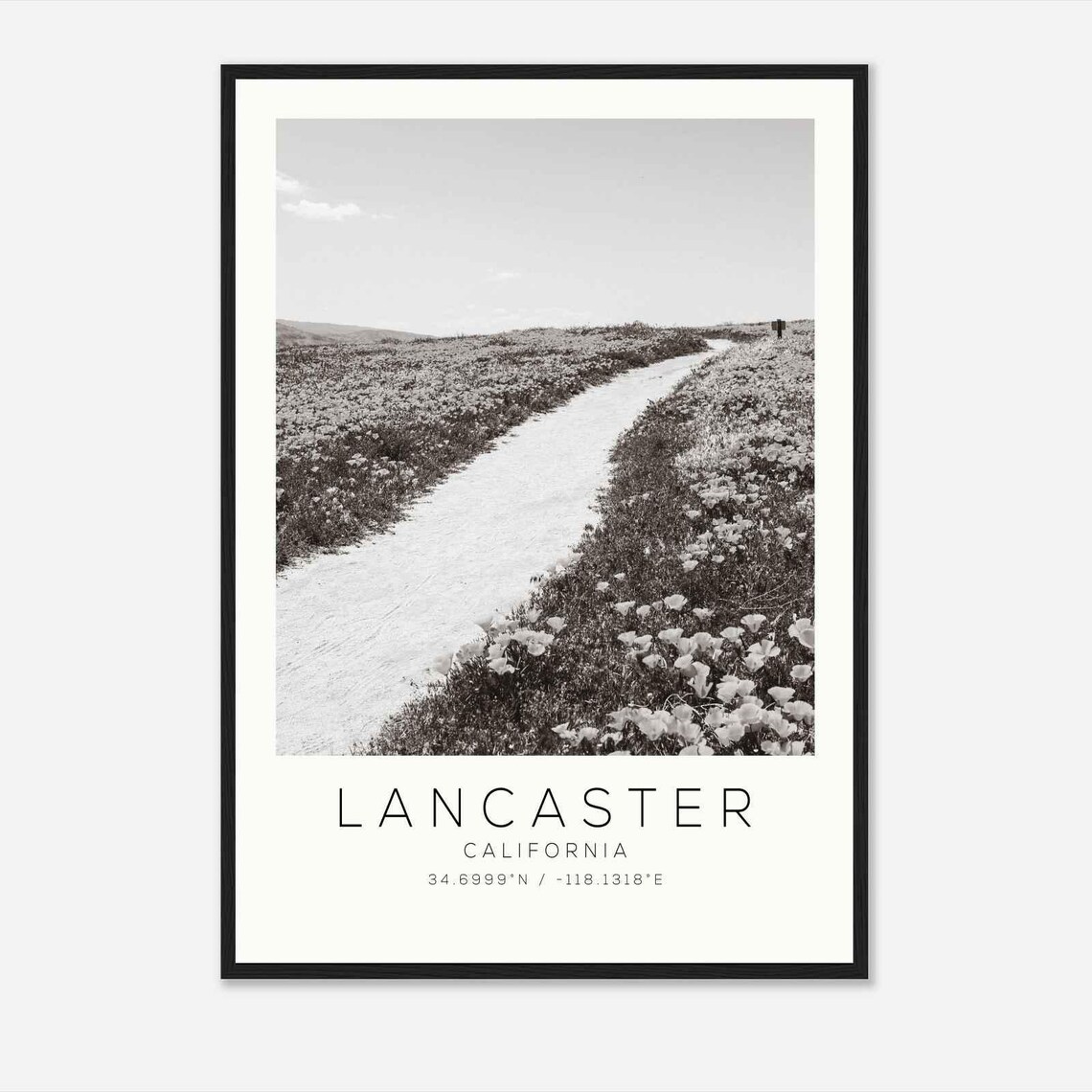 Lancaster California Wildflower Poppy Field Road Photo Poster