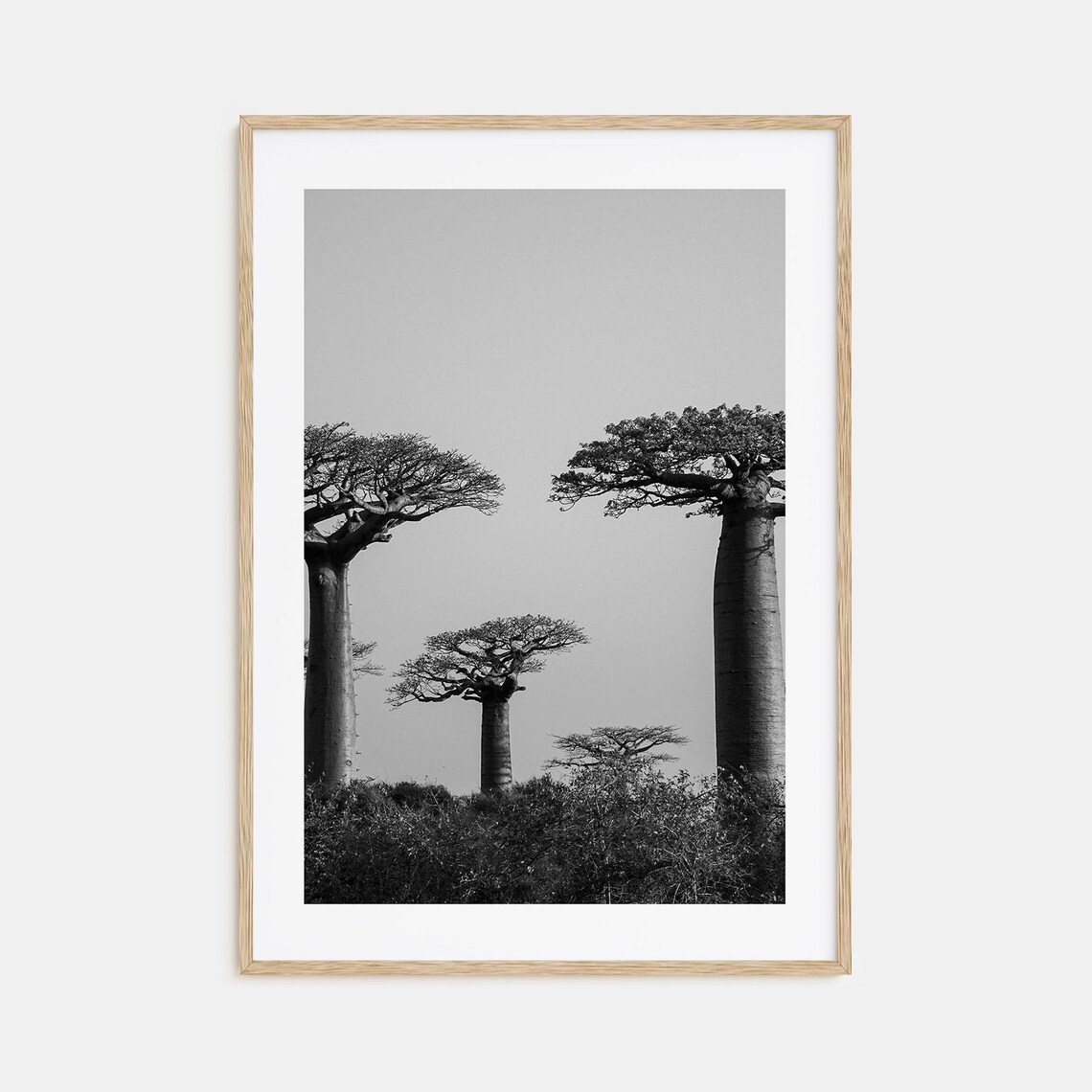 Madagascar Black And White Travel Poster Print