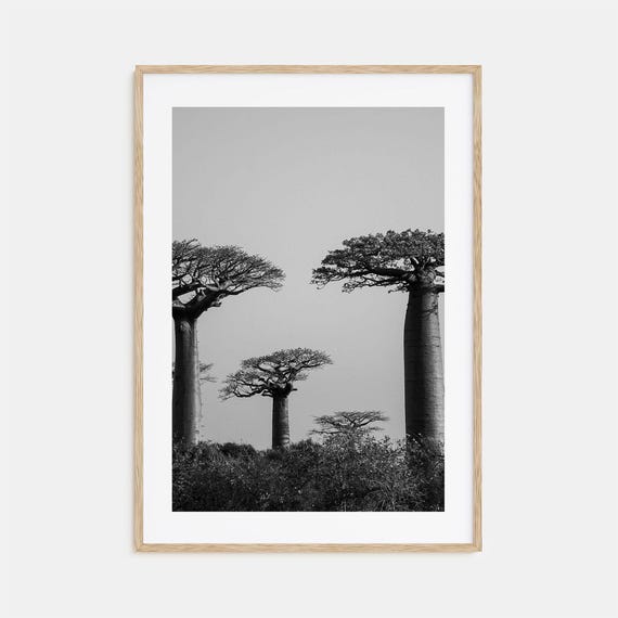 Madagascar Black And White Travel Poster Print
