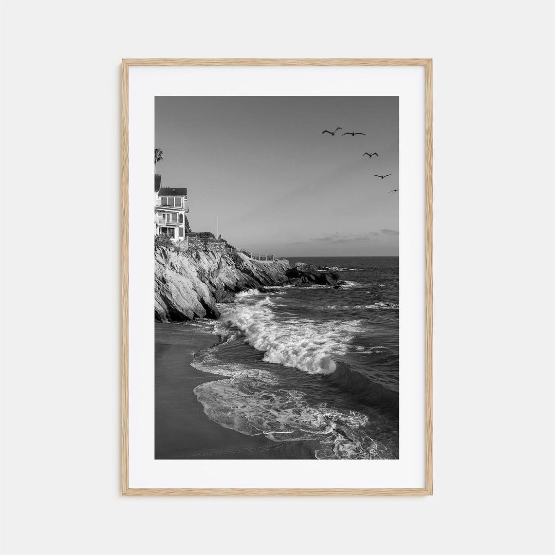 Southern California Ocean Cliffs Pelicans Waves Black White Poster