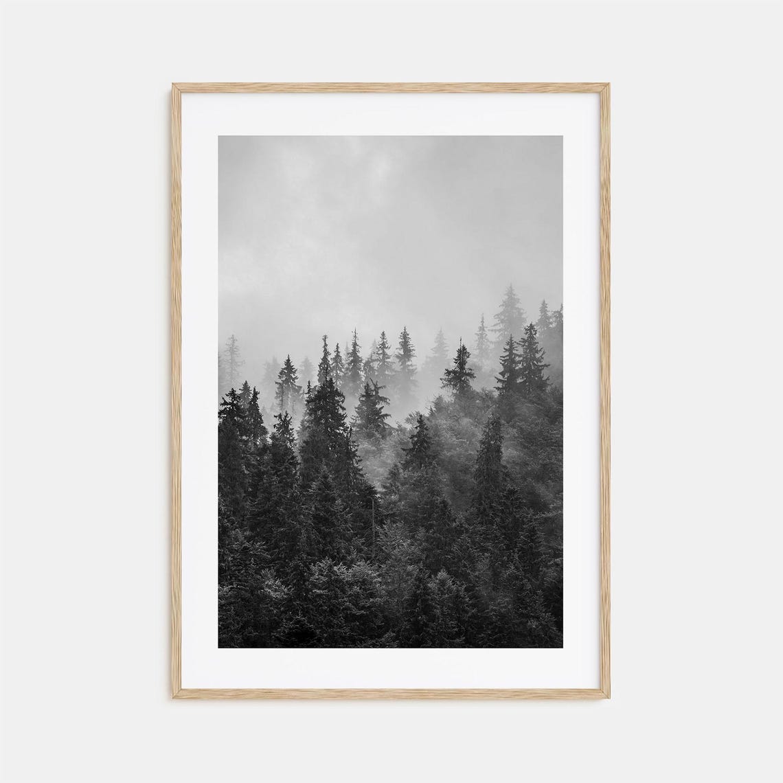 Pine Forest Disappearing Into Thick White Fog Black White Photo Poster