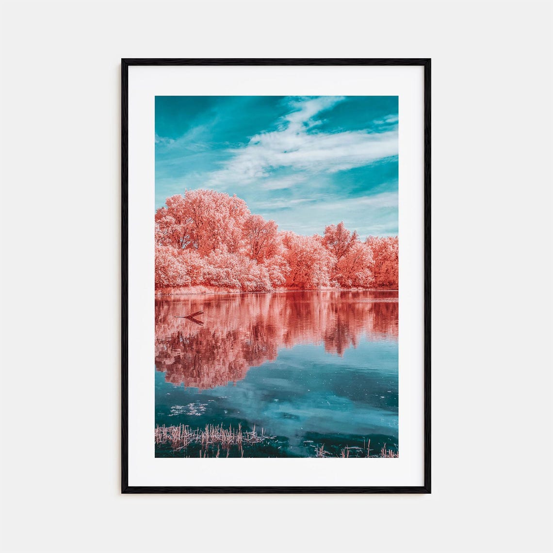 Minnesota Cotton Candy Pink Trees Lake Mirror Reflection Poster