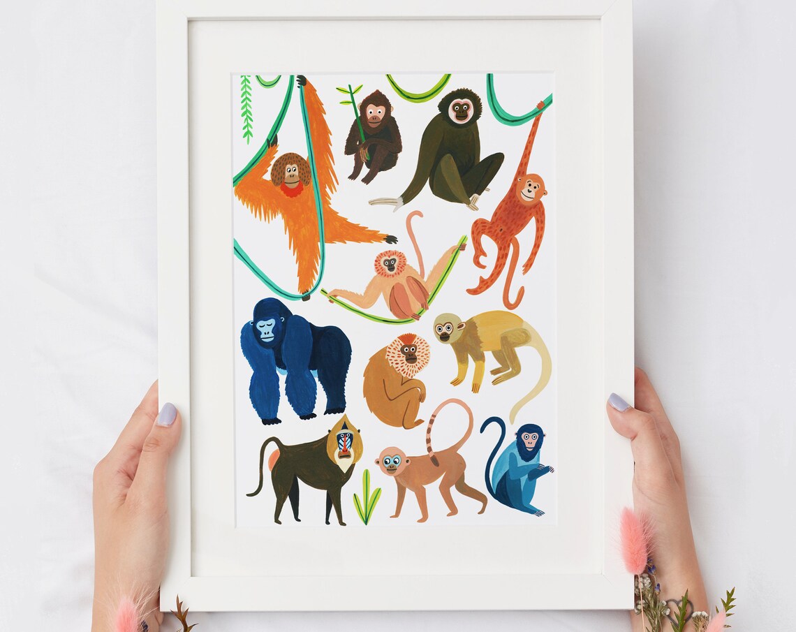 Monkey Species Botanical Illustration Art Print - Image 3