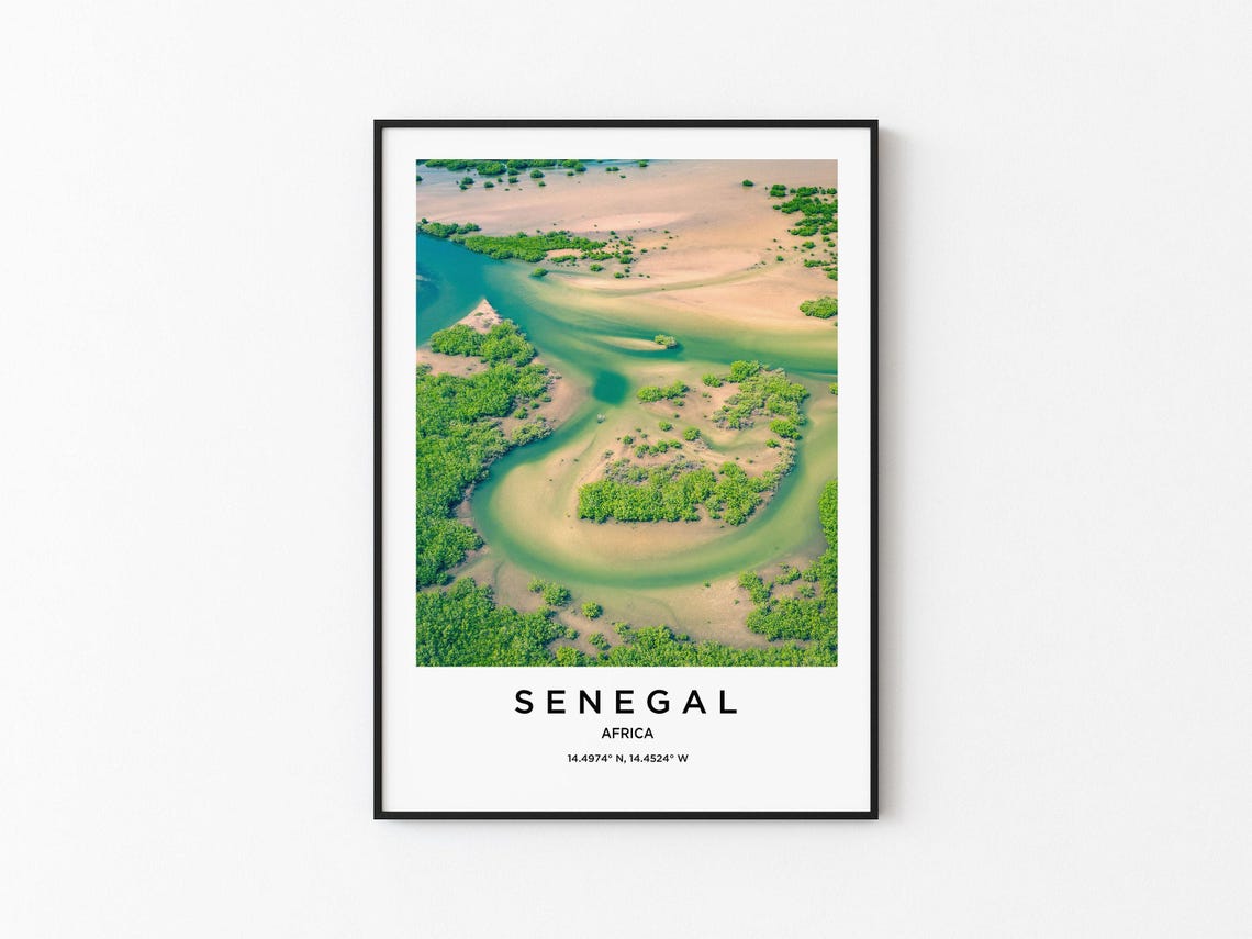 Senegal Africa Aerial Mangrove Estuary Drone Nature Travel Poster