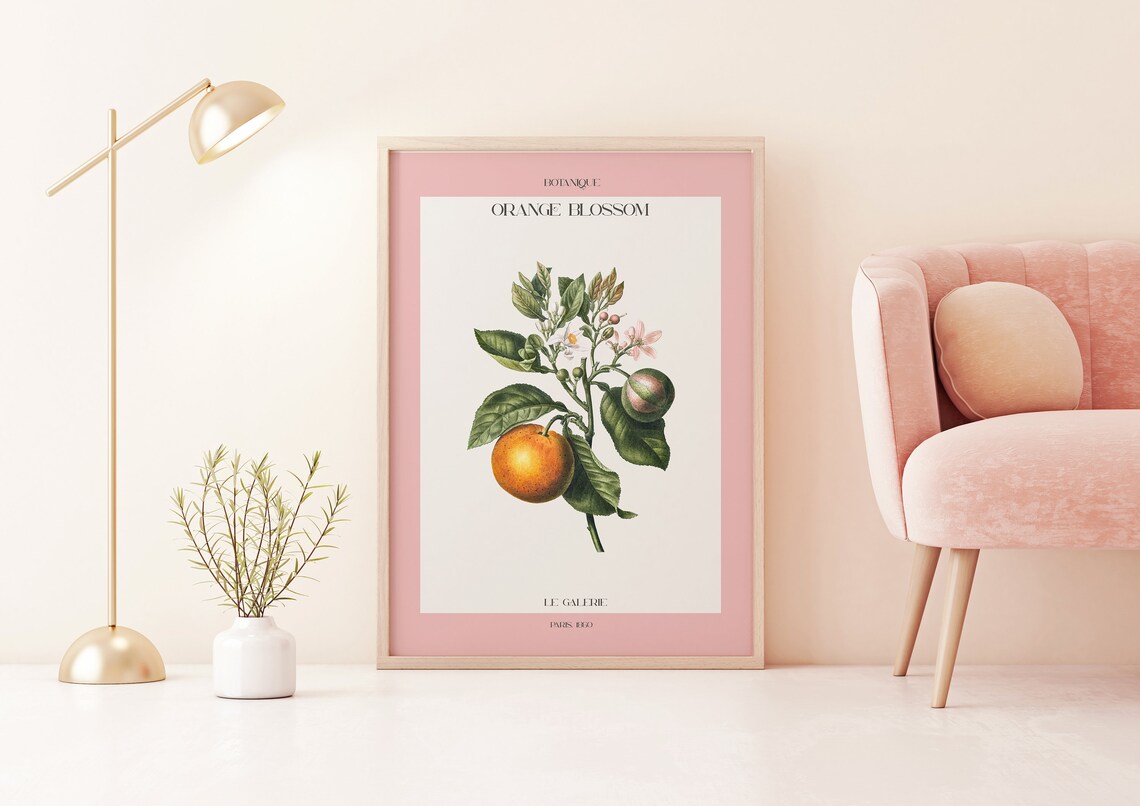 Botanique Orange Blossom Vintage Botanical Pink Gallery Poster
