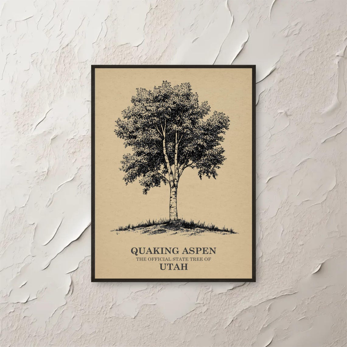 Quaking Aspen Utah State Tree Botanical Ink Sketch Wall Print