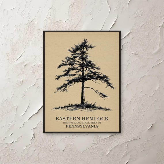 Eastern Hemlock Pennsylvania Wall Art State Tree Print Nature Botanical Illustration Vintage Artwork Home Decor