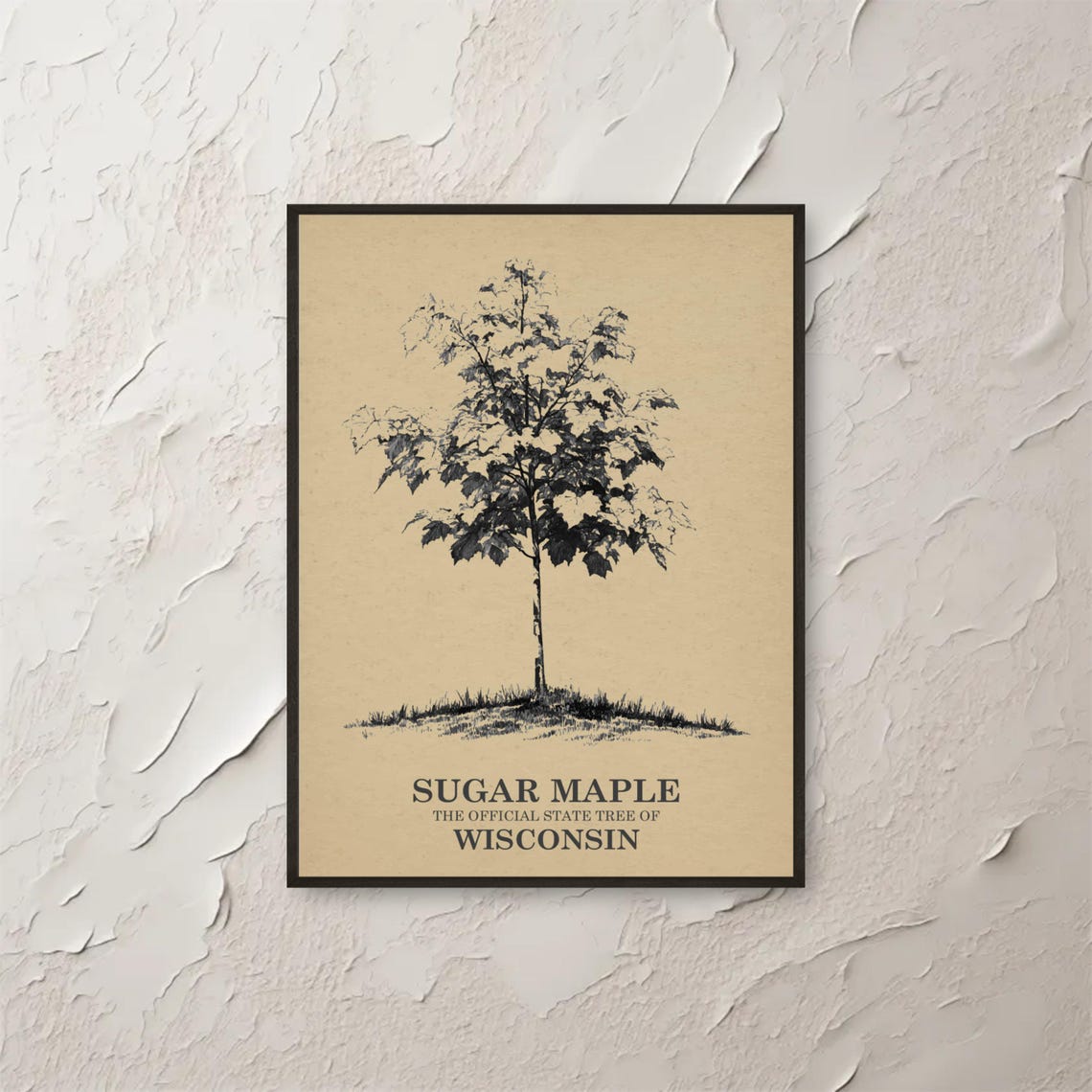 Vintage Sugar Maple Illustration Wisconsin State Tree Botanical Print