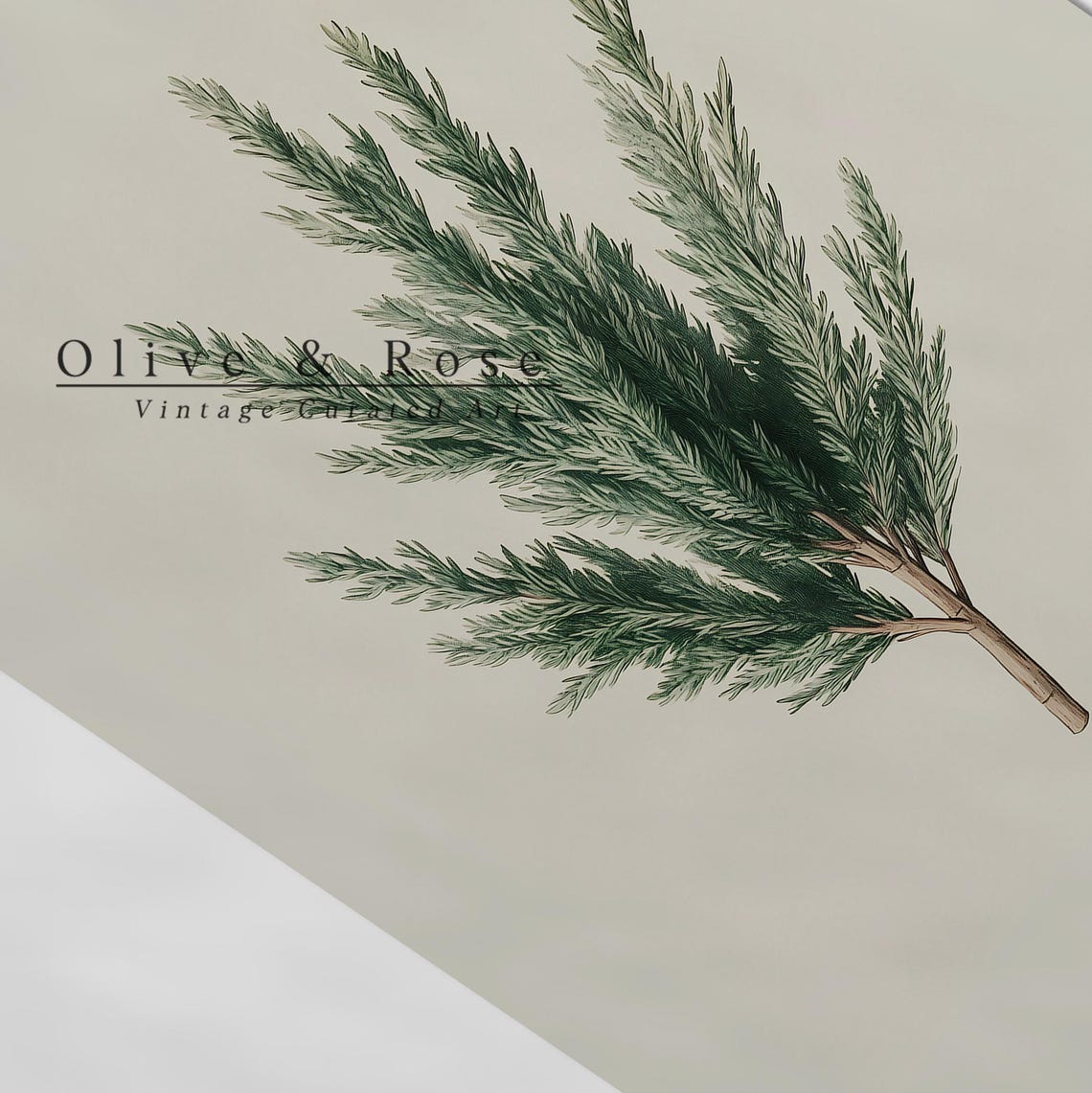 Juniper Evergreen Branch Watercolor Minimal Neutral Botanical Wall Art - Image 5