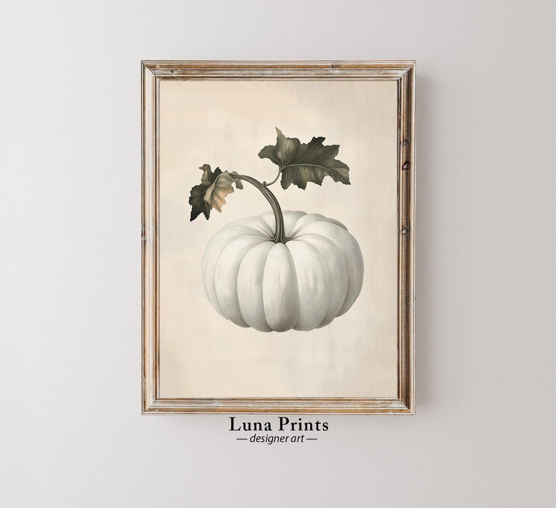 White Pumpkin Vintage Botanical Fall Harvest Illustration Wall Art