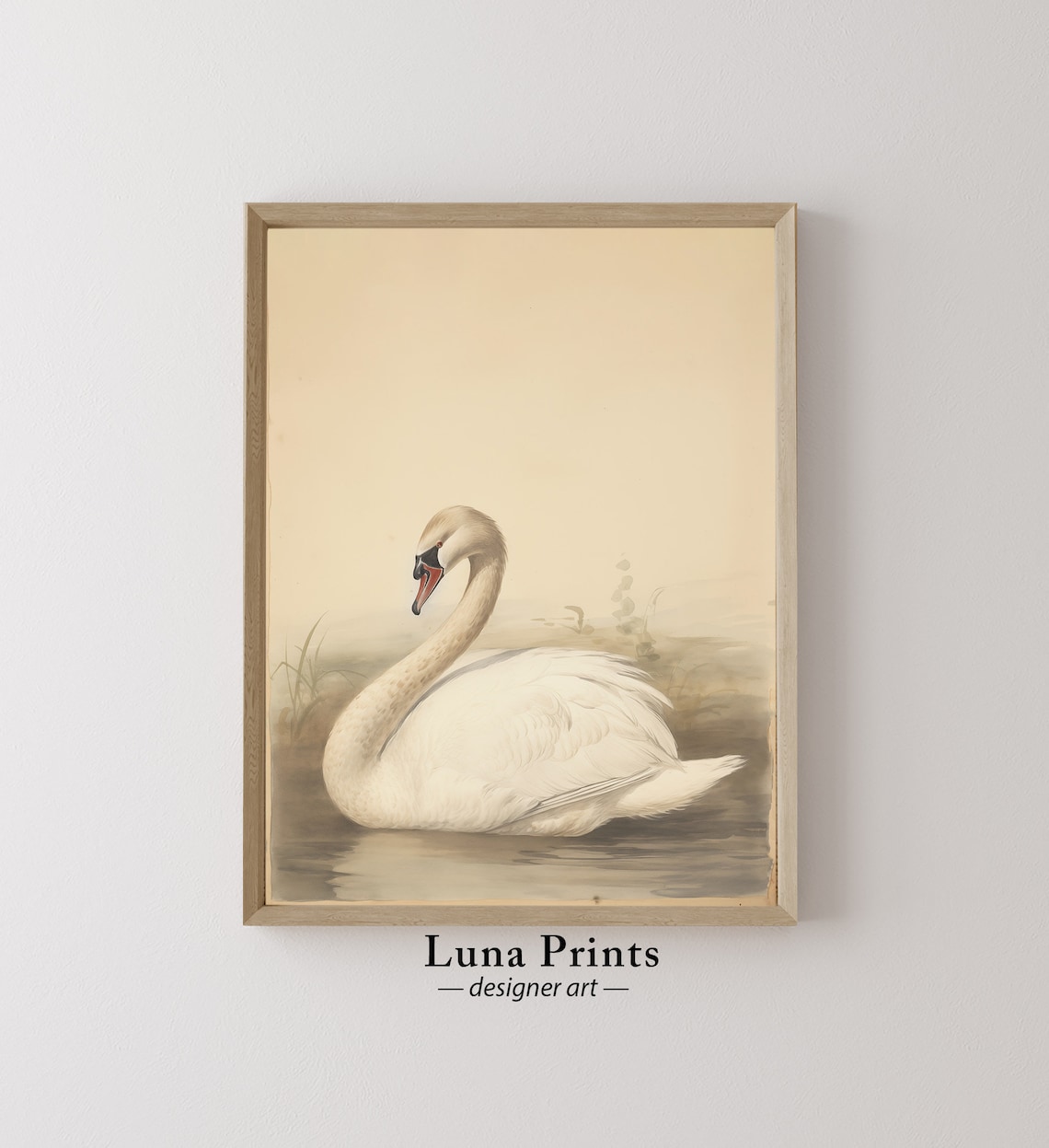 White Swan on Water Antique Style Watercolor Bird Art Poster