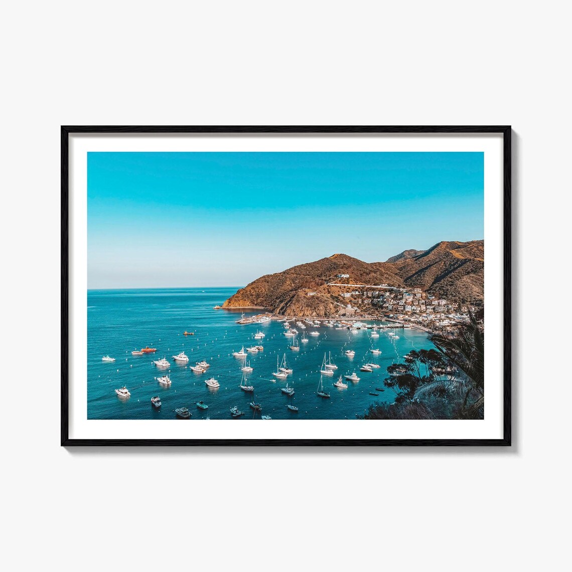 Santa Catalina Island Avalon Harbor Blue Sailboats Photo Poster