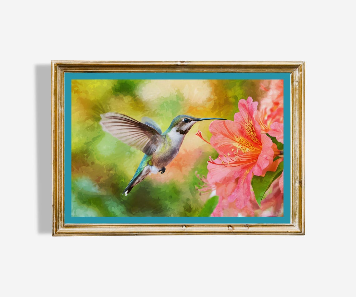Hummingbird Feeding on Pink Blossom Watercolor Bird Art Poster
