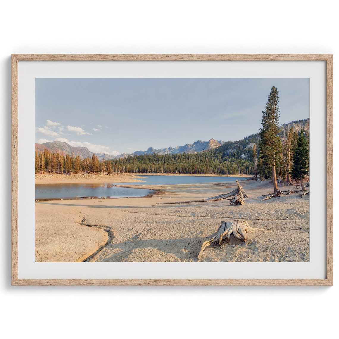 Mammoth Lakes California Mountain Lake Sandy Shore Pine View Poster