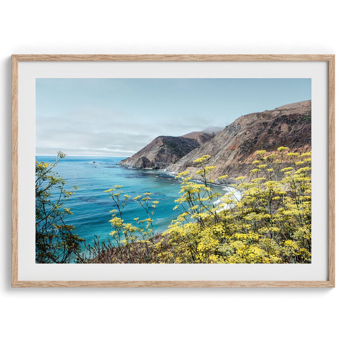 Big Sur Coastal Flowers Art Print, California Coast