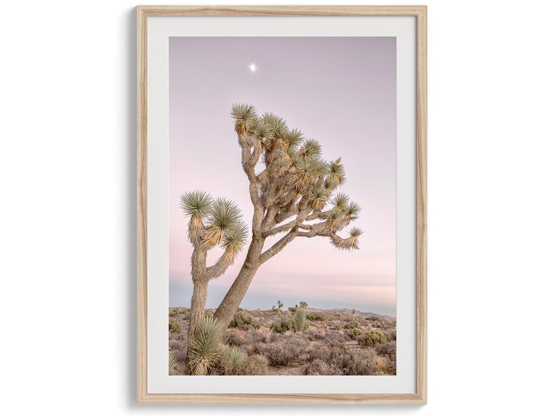 Joshua Tree Pink Sky Sunset, California Travel Poster