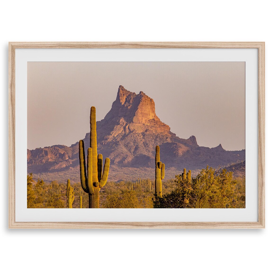 Saguaro Cactus Arizona Art Print, Desert Photography