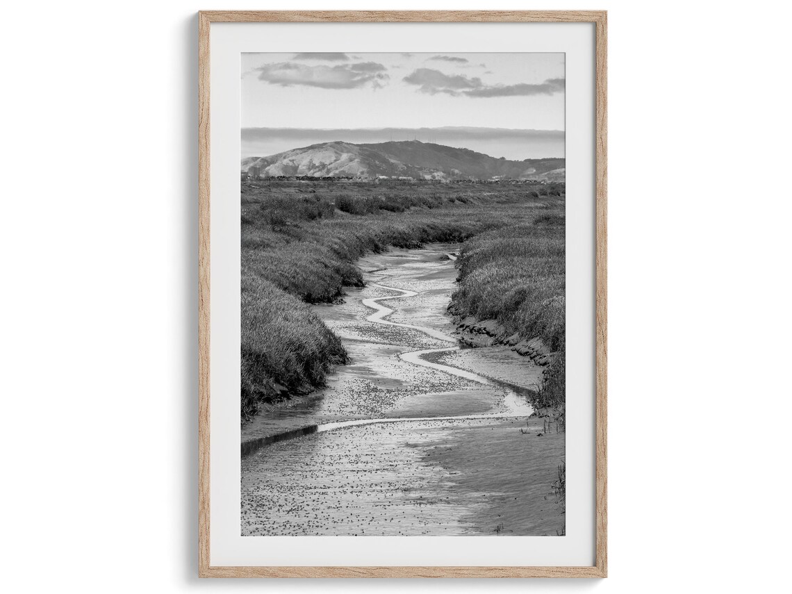 Marsh River Black and White Nature Art Print, PNW