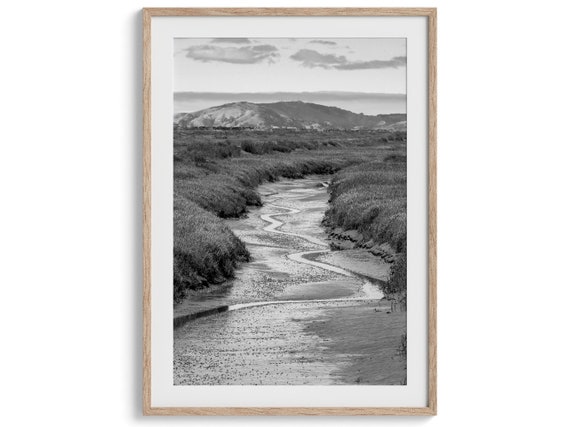 Marsh River Black and White Nature Art Print, PNW