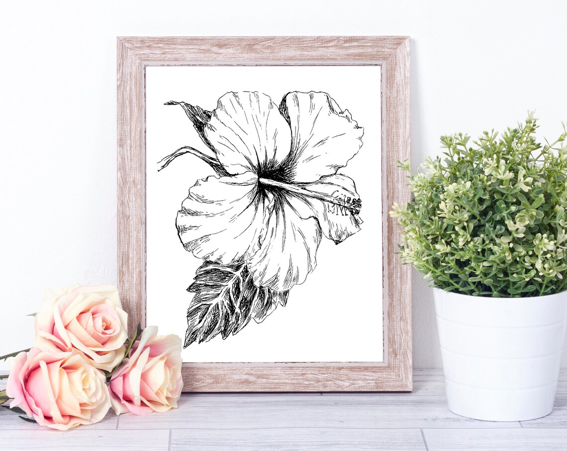 Black And White Hibiscus Botanical Art Print