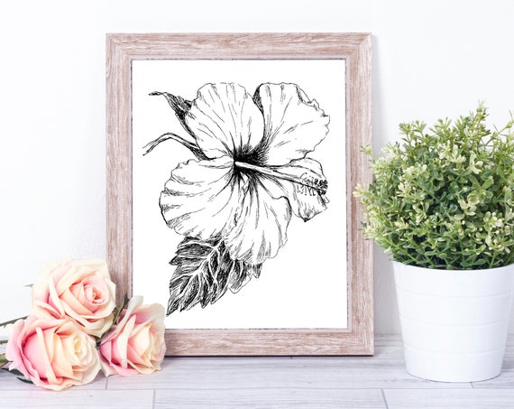 Black And White Hibiscus Botanical Art Print
