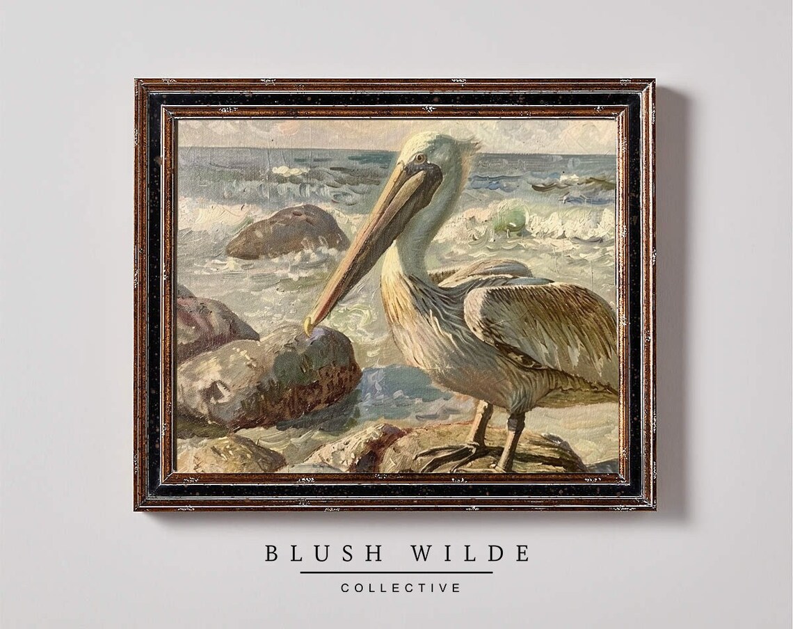 Graceful Pelican On Rocky Shore Waves Vintage Coastal Wildlife Print