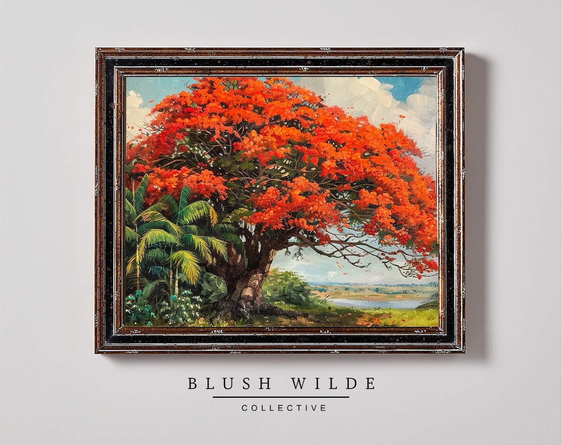 Royal Poinciana Vintage Oil Painting Print, Florida