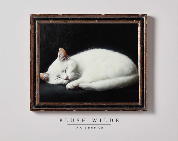 Sleeping White Cat Curled Up Dark Background Oil Painting Poster