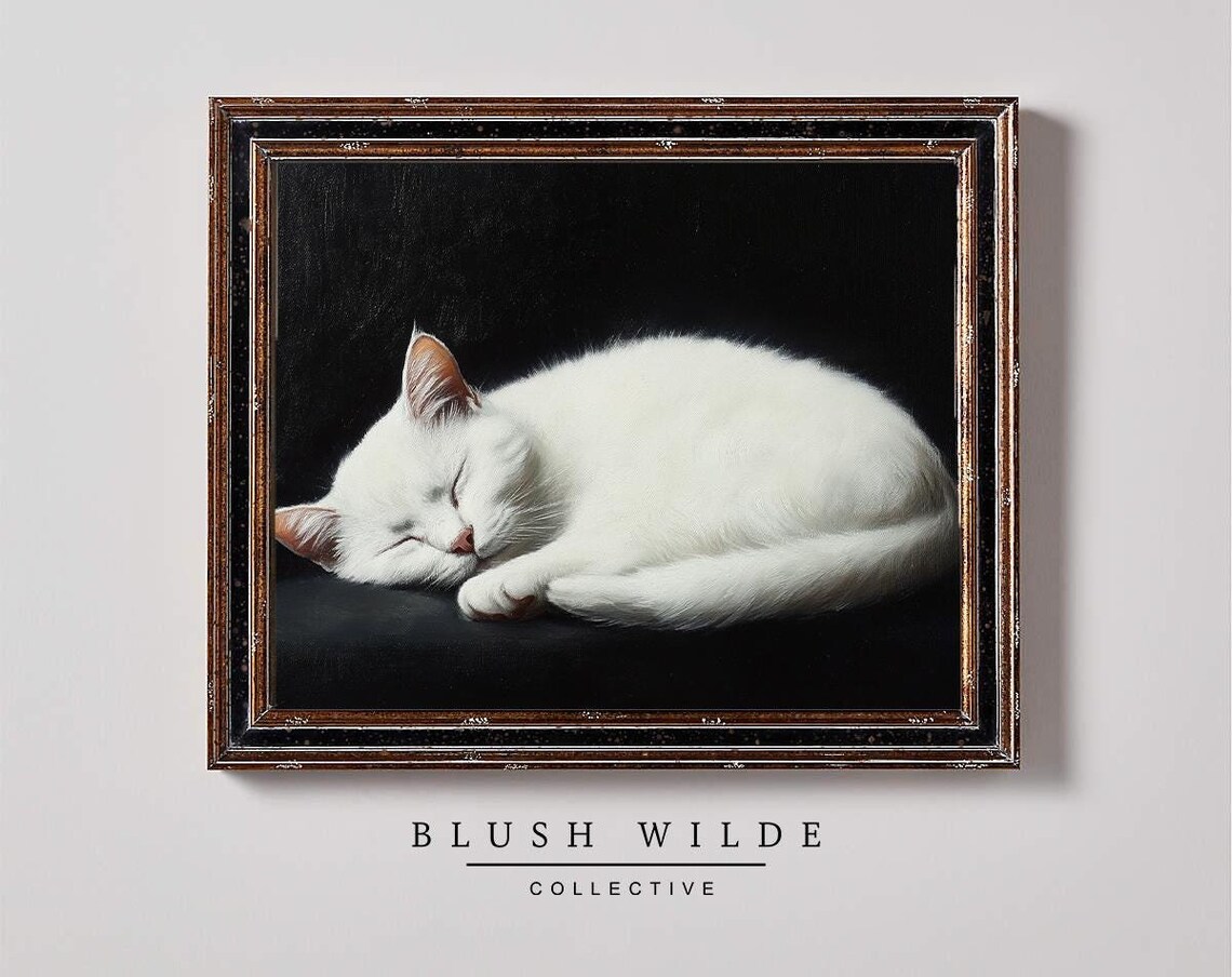 Sleeping White Cat Curled Up Dark Background Oil Painting Poster