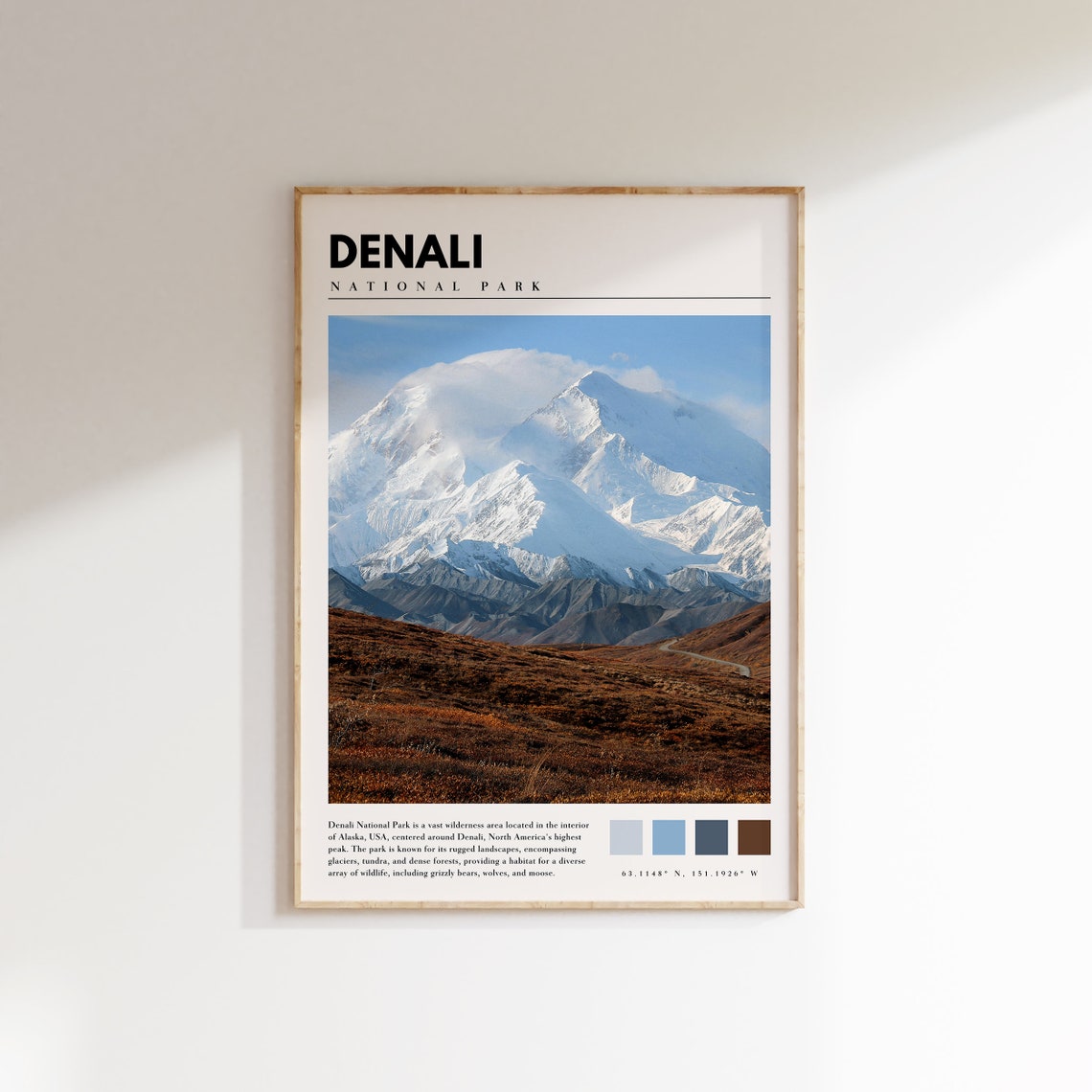 Denali National Park Mountain Peak Snow Tundra Alaska Poster