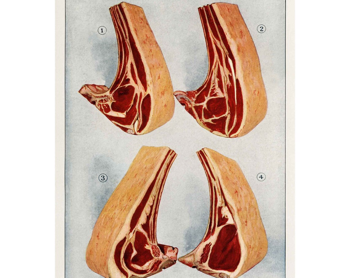 Vintage Beef Ribs, Retro Kitchen Art Print