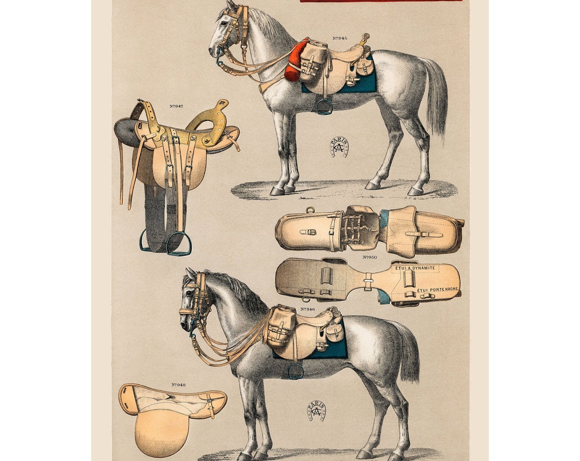Vintage Horse Equipment Art Print