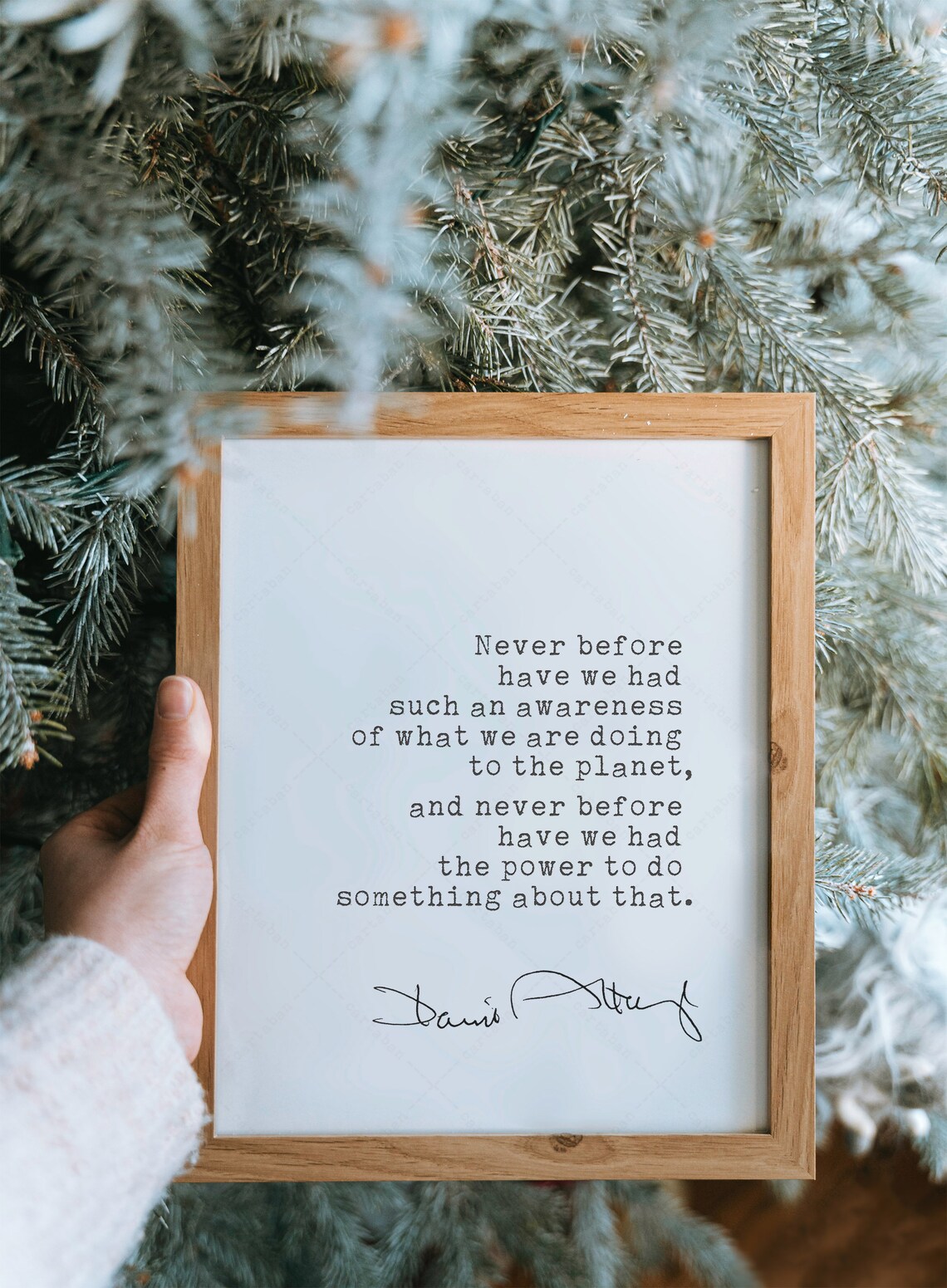 David Attenborough Climate Change Quote Poster - Image 3