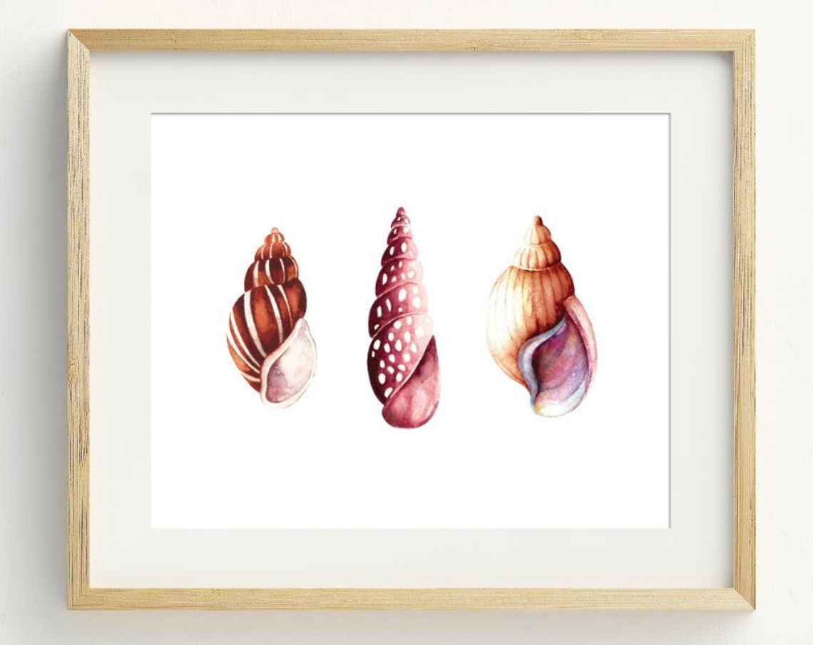 Watercolor Seashell Trio Coastal Beach House Nautical Wall Art Print