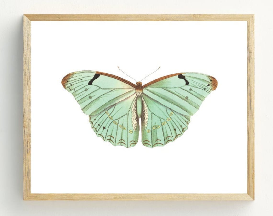 Butterfly Minimalist Art Print, Pastel Decor