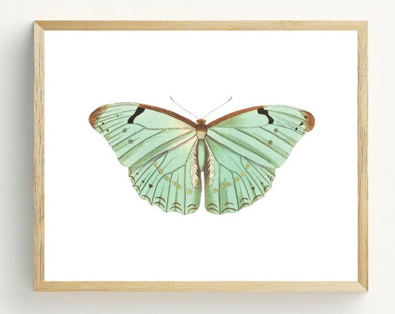 Butterfly Minimalist Art Print, Pastel Decor