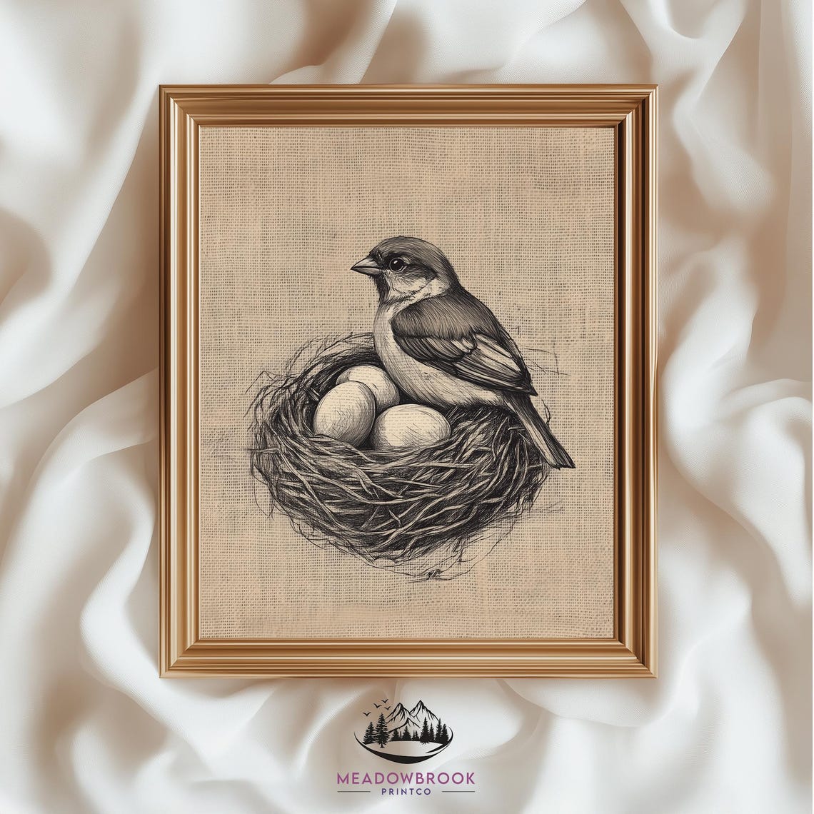 Sparrow On Nest With Eggs Pencil Sketch Rustic Bird Art Print Poster
