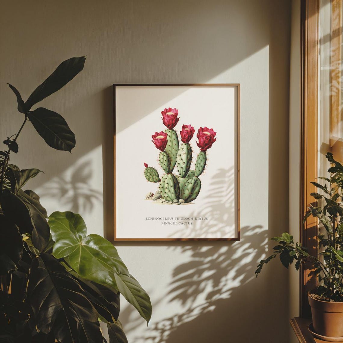 Kingcup Cactus Echinocereus Botanical Vintage Floral Art Poster