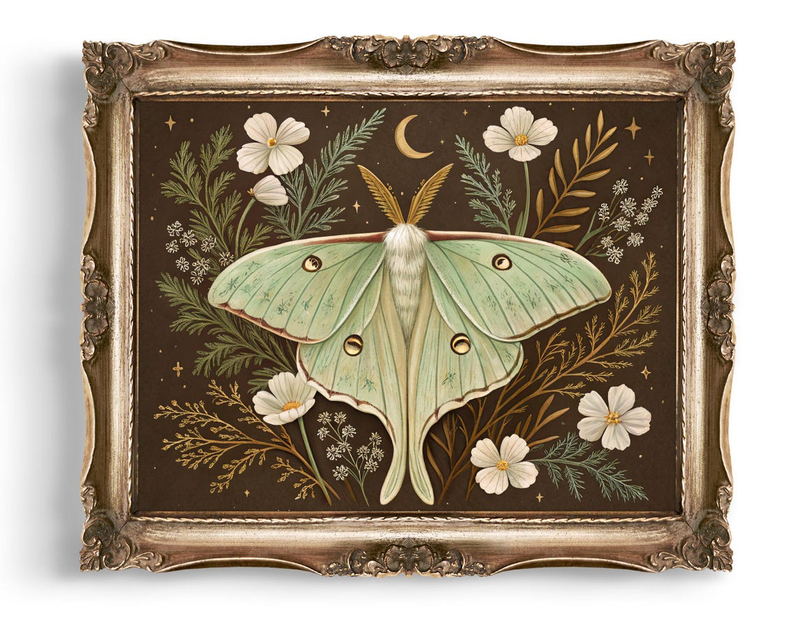 Luna Moth Wall Art Botanical Print Moon Flowers Illustration Celestial Decor Insect Instant