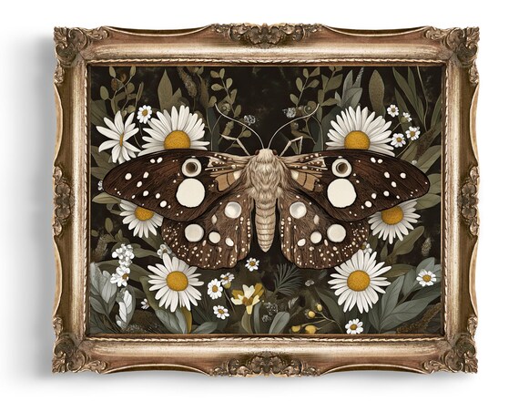 Spotted Brown Moth Among White Daisies Dark Botanical Poster