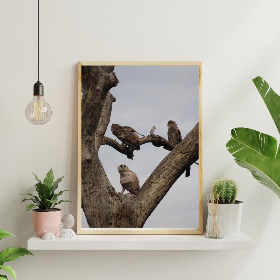 Young Eagle Owl Perched In A Tree With Parent Watching Over Poster - Image 4