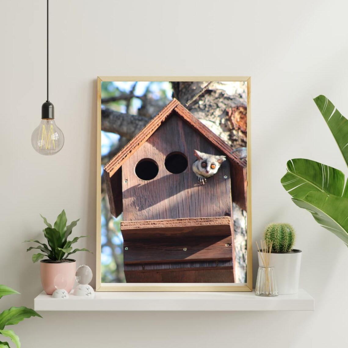 Cute Bush Baby Peeking Out Of A Wooden Birdhouse In A Tree Poster - Image 4