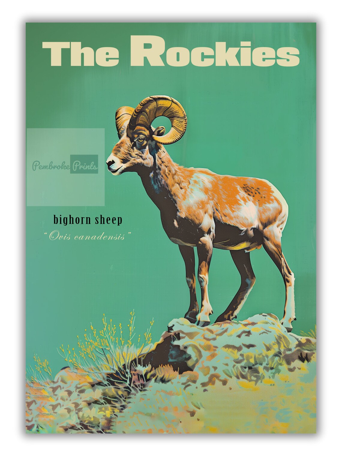 Vintage Bighorn Sheep Travel Poster, Rocky Mountains - Image 3