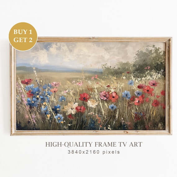 Wildflower Meadow Red Blue Blooms Cloudy Sky Frame TV Art Print Rustic
