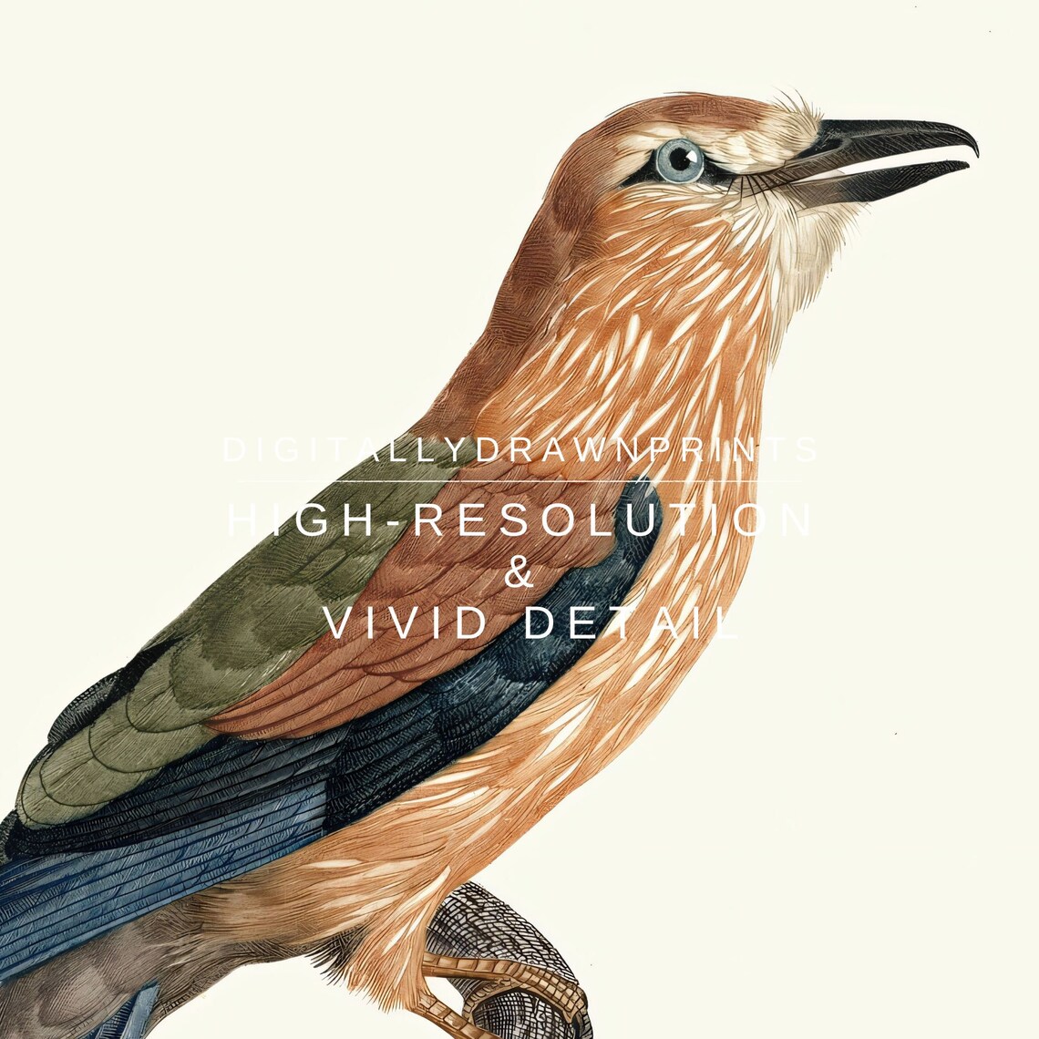 Vintage Bird Print, Antique Bird Drawing Art Print - Image 2