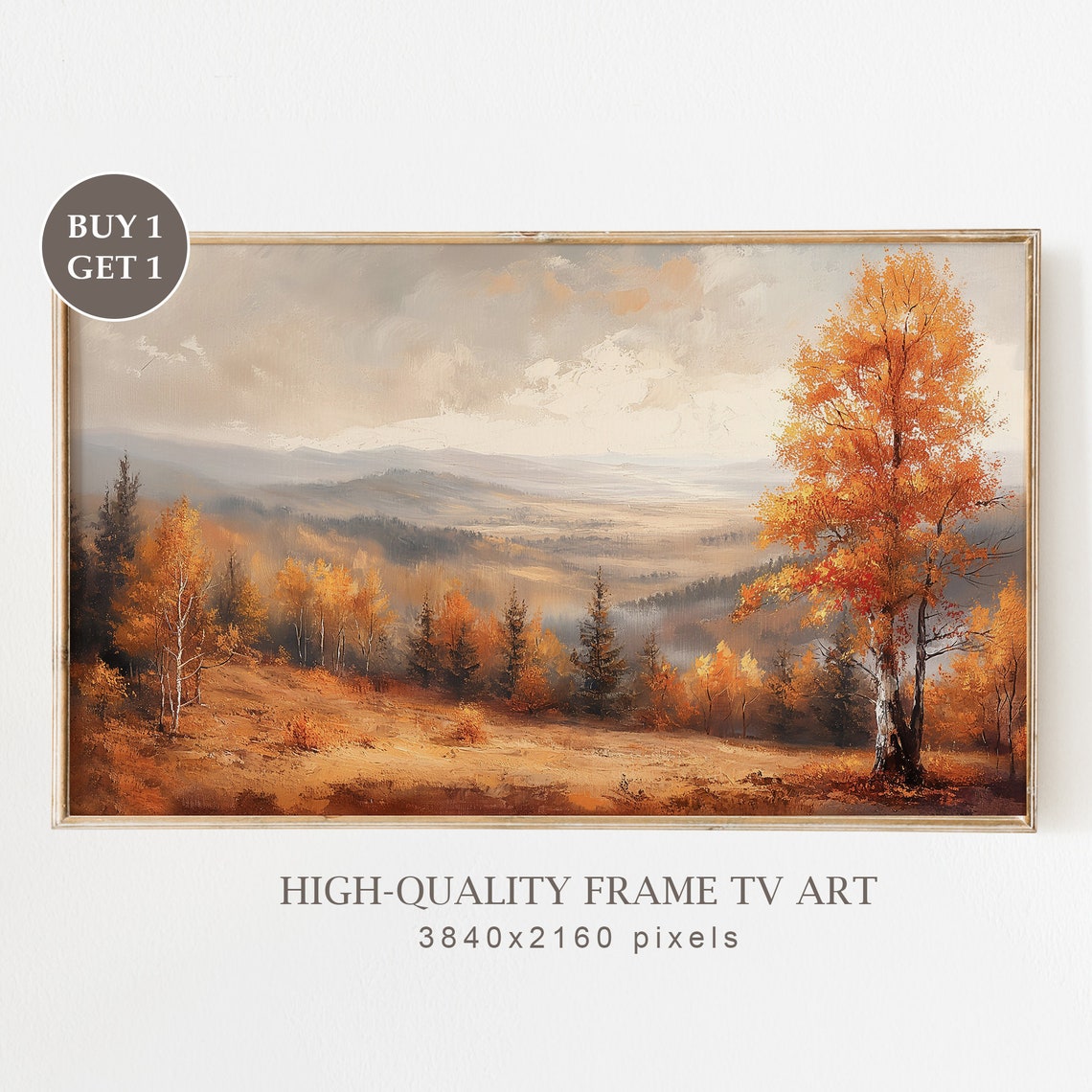 Autumn Birch Trees Golden Valley Misty Mountain Landscape Poster